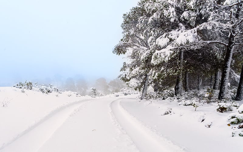 schneelandschaft